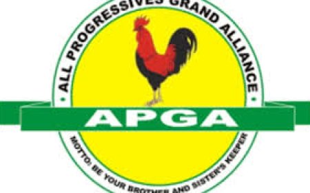 APGA Releases Timetable, Dates, For 2025 Bye-election Primaries