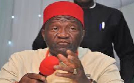 Adada, most viable proposed state in South East --- Nwodo
