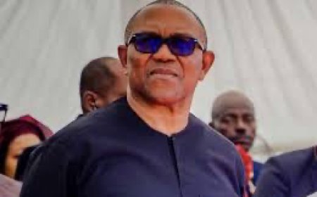 The North Will Celebrate Me If I Am President — Peter Obi