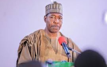Borno's Gov Zulum Denies Plan To Defect To ADC