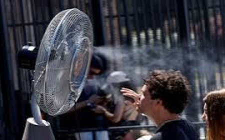 European Heatwave Cause 2,300 Deaths Across 12 Countries, scientists estimate