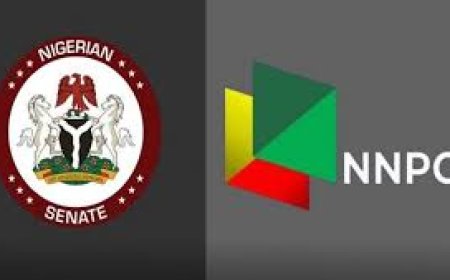 Audit Report: Senate Says NNPCL Yet To Account For N210 trillion