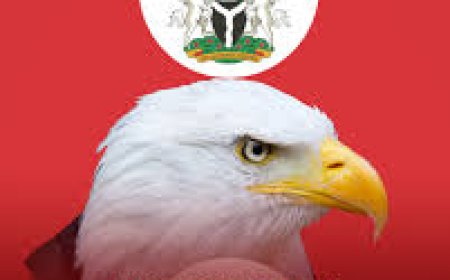 How Ponzi Scheme Operator Diverted Victims’ N91.5m through Unlicensed MFB in Enugu-  Witness
