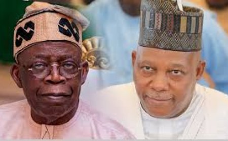 VP Shettima Spoke The Truth, ADC Tells Tinubu On Rivers Emergency, Suspension Of Gov Fubara