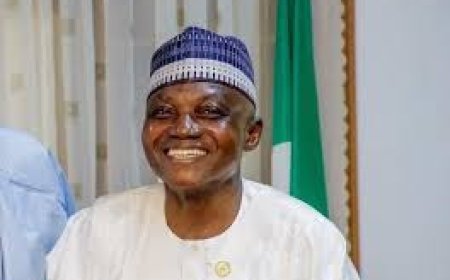 Garba Shehu Says Villa Rat Invasion Story Fabricated To Cover Up ex- President Buhari’s Illness