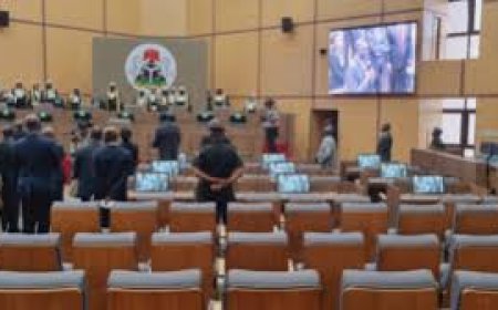 Why Nigeria’s Election Petition System Is Unconstitutional