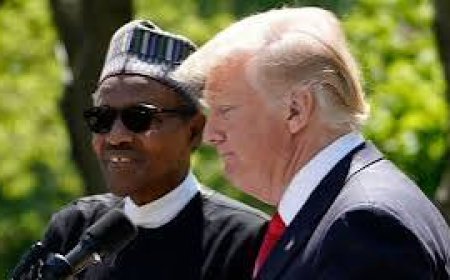 "So Many Nigerian Words! Where Did Those Come From?" As President Trump Meets Prof Ugwuanyị