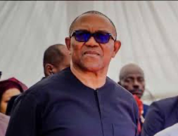 The North Will Celebrate Me If I Am President — Peter Obi