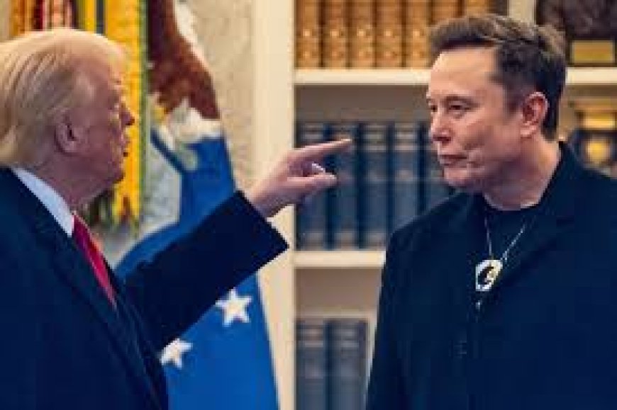 Trump considers deporting Musk as feud reignites