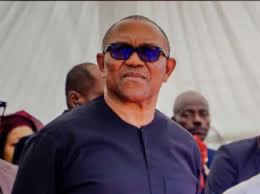 Middle Belt Forum Expresses Support For Peter Obi Over 2027: Presidential Ambition