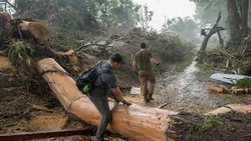Update: Death toll from Texas flash floods rises to 82, 10 campers remain missing