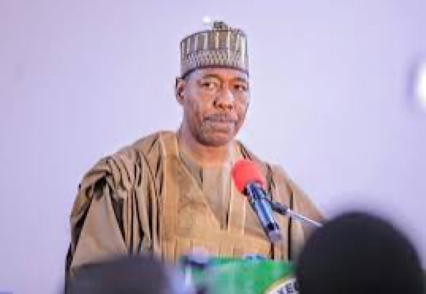 Borno's Gov Zulum Denies Plan To Defect To ADC