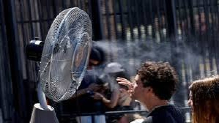 European Heatwave Cause 2,300 Deaths Across 12 Countries, scientists estimate