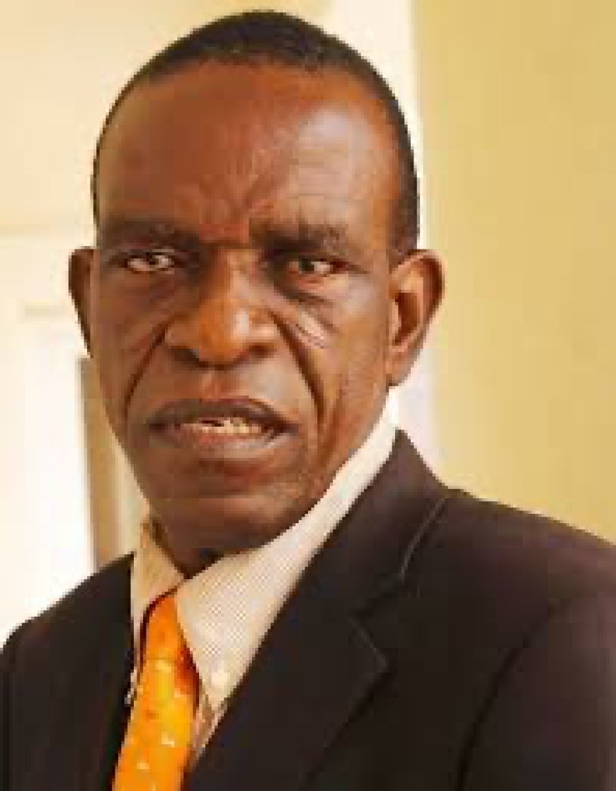 2027: A Red Flag for Dissident Igbo
