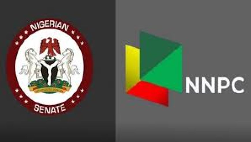 Audit Report: Senate Says NNPCL Yet To Account For N210 trillion