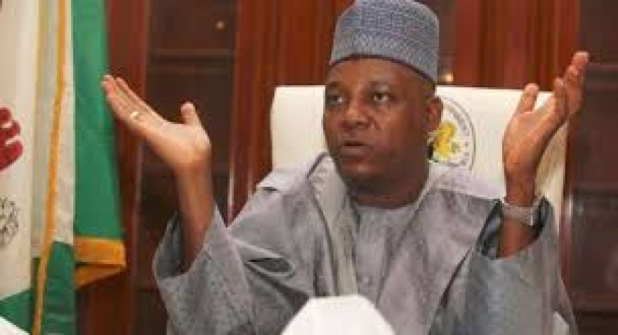 For The Records: "No Link Between VP Shettima’s Remarks At Book Launch And Certain Media Reports," Presidency