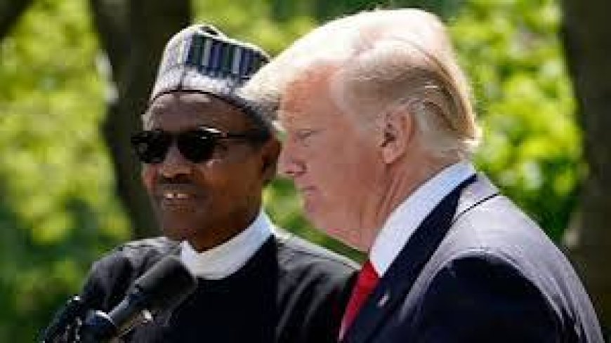 "So Many Nigerian Words! Where Did Those Come From?" As President Trump Meets Prof Ugwuanyị