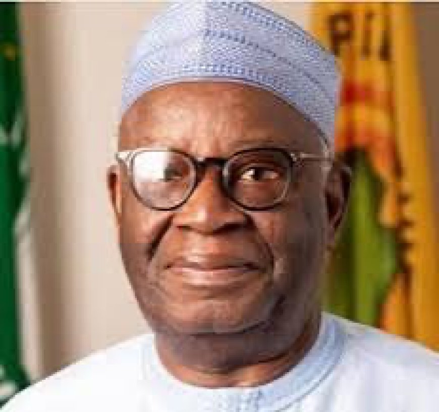How cabal members smuggled memos to late President Buhari behind me ---- former Chief of Staf,f Prof Ibrahim Gambari  