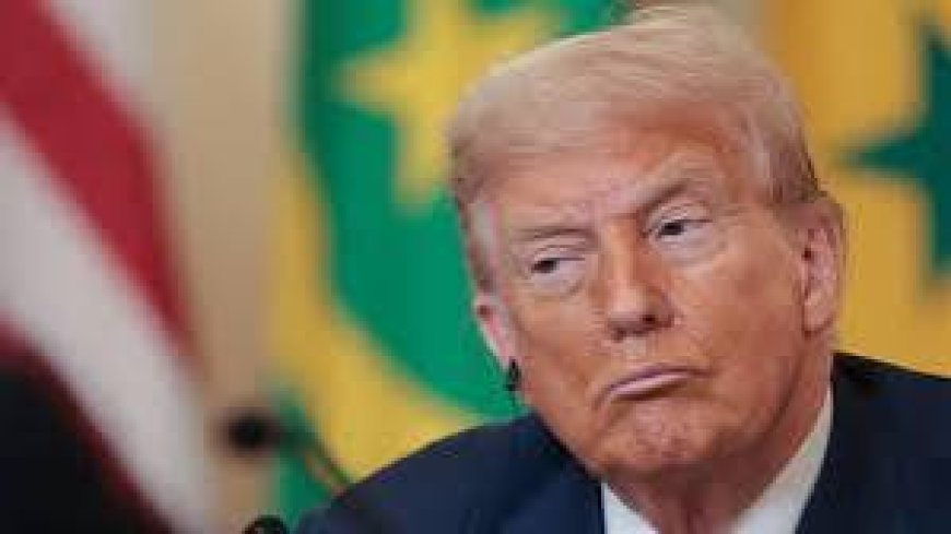 Trump's Veins, Transparency, and the Lessons for Nigeria’s Spin-Doctors