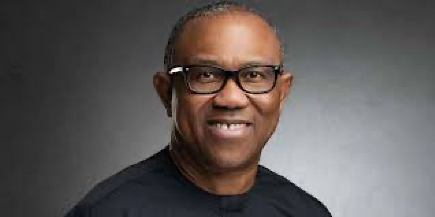 Opinion: Peter Obi, The Main Issue! By Chuks Iloegbunam