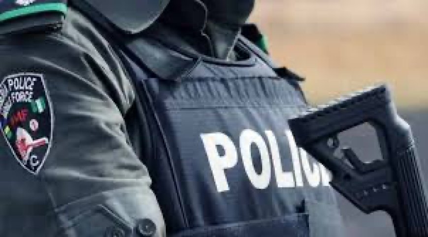 Gunmen Kill Police Inspector, Civilian In Imo,
