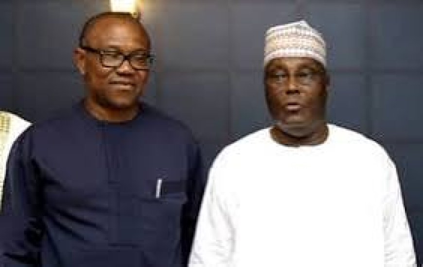 Atiku, Peter Obi: How Our Presidential Candidate Will Emerge