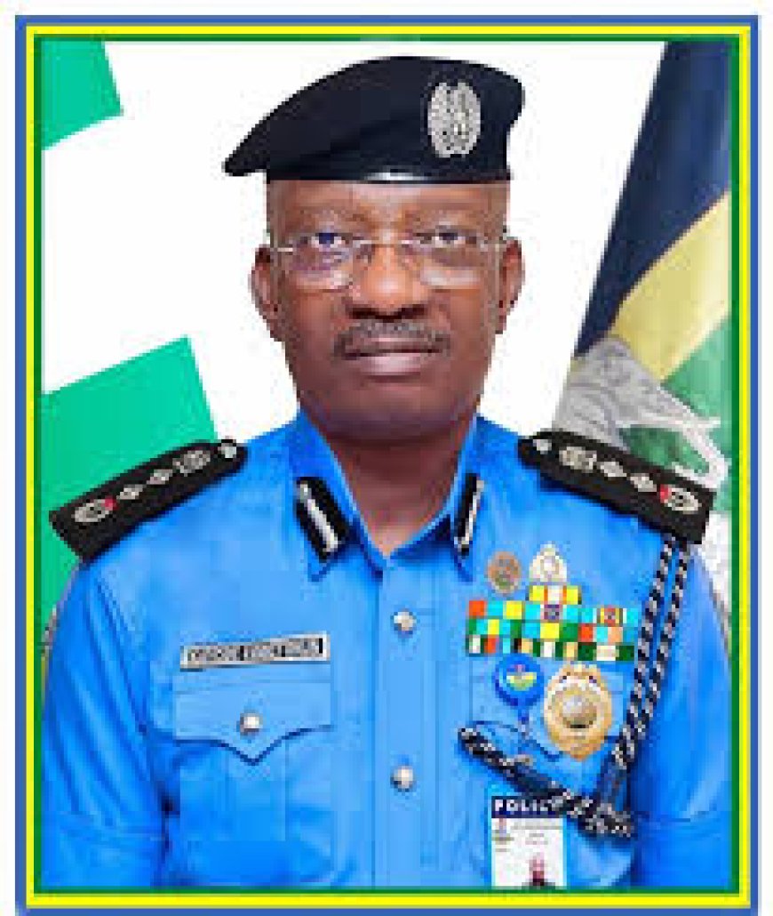 We Haven't Started Any Police Recruitment, Says Police Service Commission