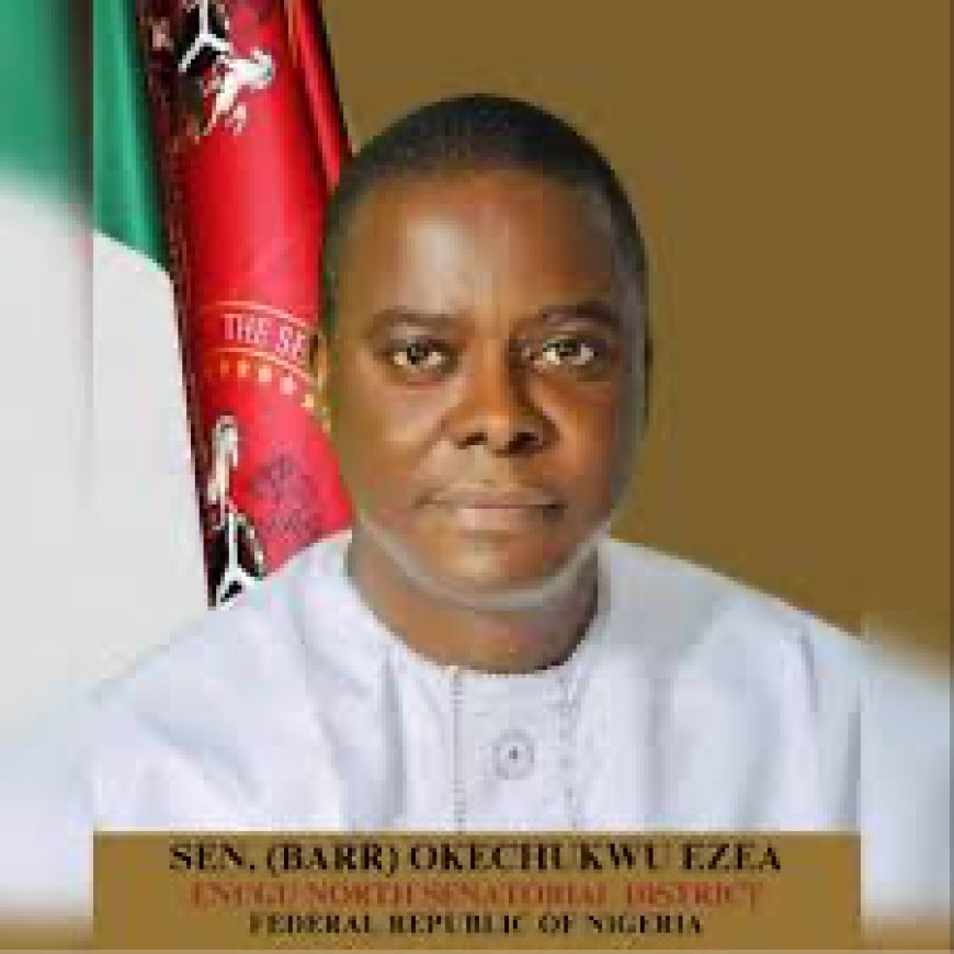 Senator Okey Ezea Rejoices With New UNN VC, Prof Simon Ortuanya
