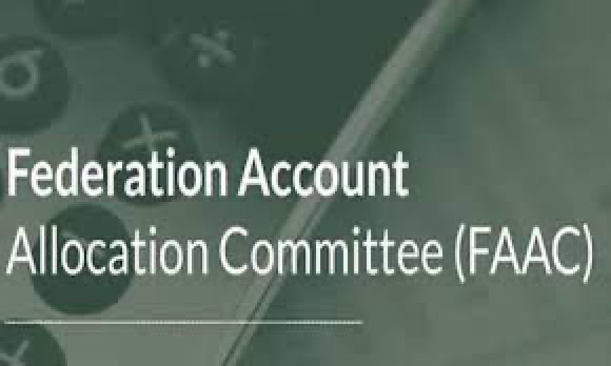 FAAC Vows To Recover N101billion From Customs After Audit Report