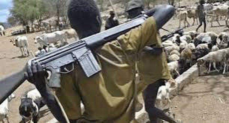 Herdsmen Kill Policeman, 8 Others In Benue Attack