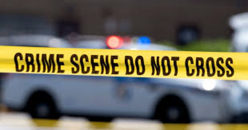 One person murdered every 31 minutes in U.S, Says FBI’s 2024 Crime Report