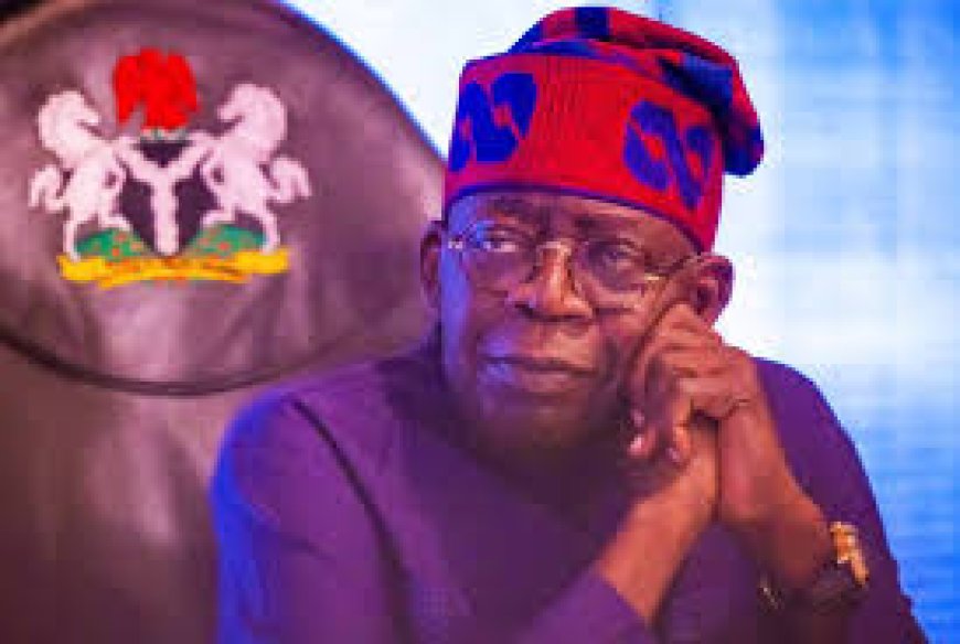 Southern Solidarity For Tinubu: Read This Before You Join
