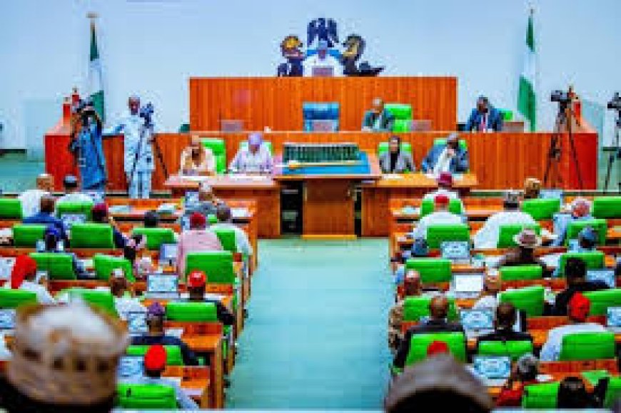 Reps Committee Urges Reopening Of Nigeria's Closed Land Borders, Bemoan Huge Revenue Loss