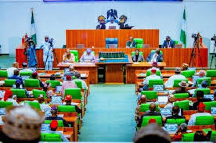 Reps Committee Condemn Sharp Practices By Free Trade Zone Company Operators