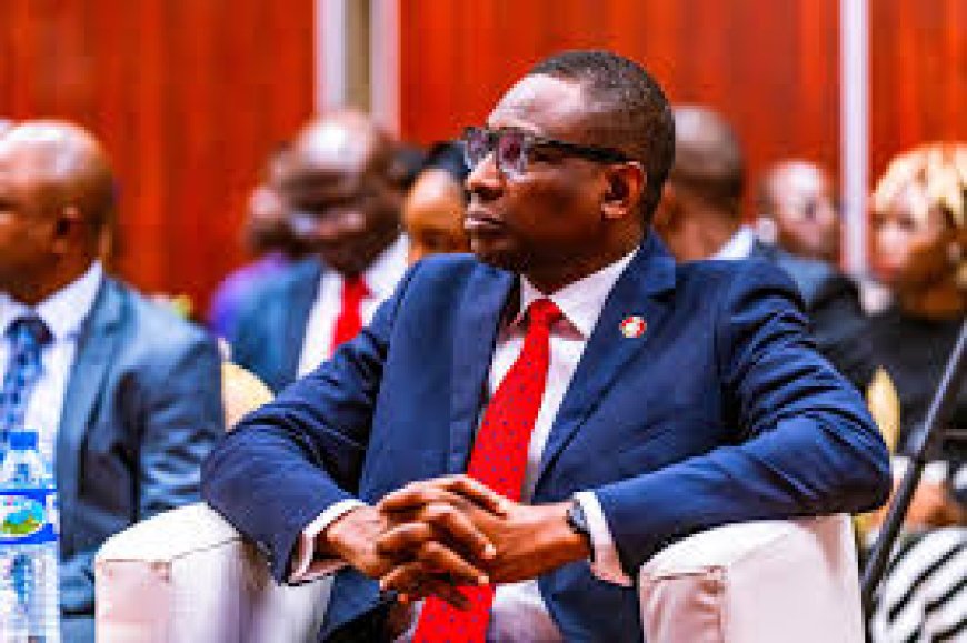 How Public Officers Make Fraudulent Anticipatory Declaration of Assets-  Olukoyede