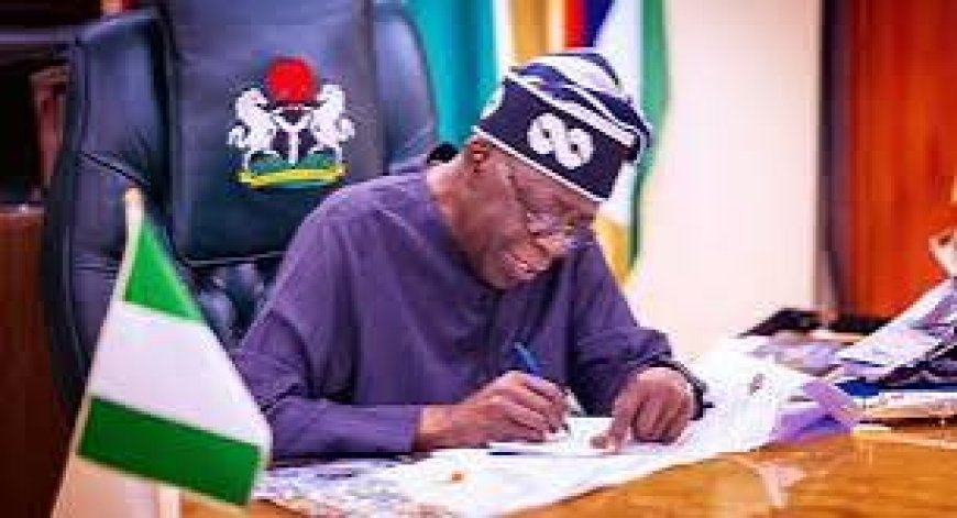 Tinubu appoints Akinfeleye, Chisom Obih, others to varsities’ governing councils