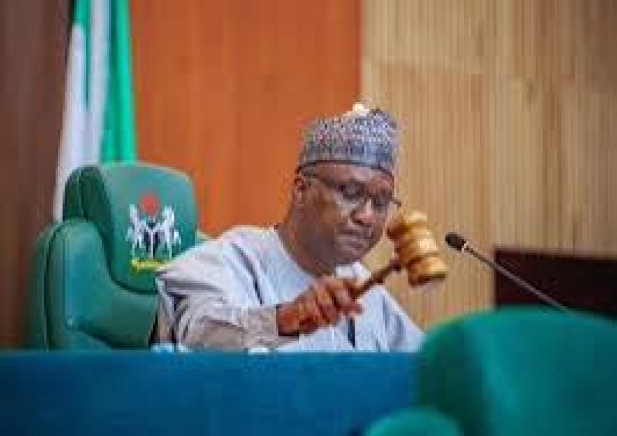 Reps Move To Make Appeal Court Final Arbiter In Gov Election Disputes — Lawmaker