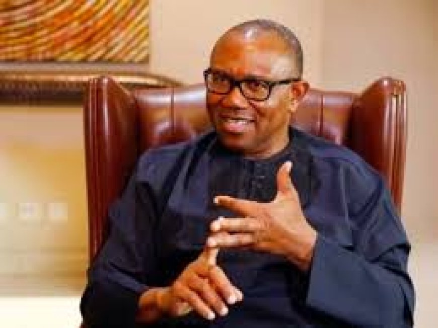 Obi Slams FG Over Proposed 100 per cent Pay Rise For Political Office Polders