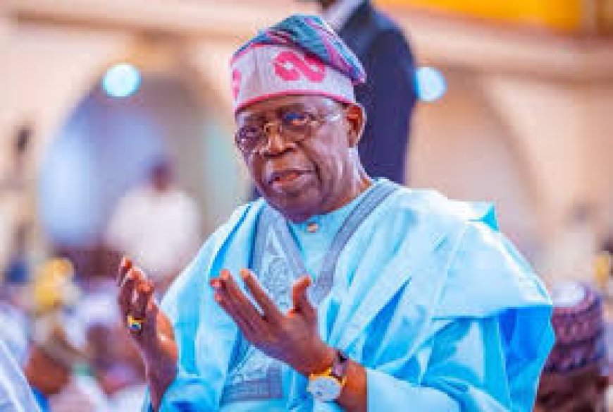 Suspend patently unlawful pay rise for politicians’, SERAP urges Tinubu