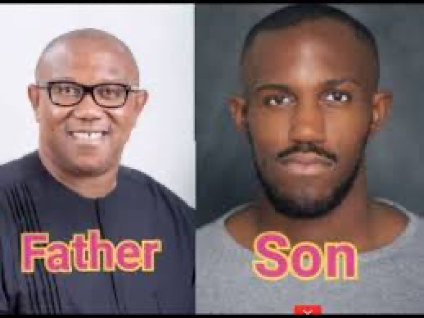 Oseloka Obi: The Lion’s Offspring and Straw Metaphor