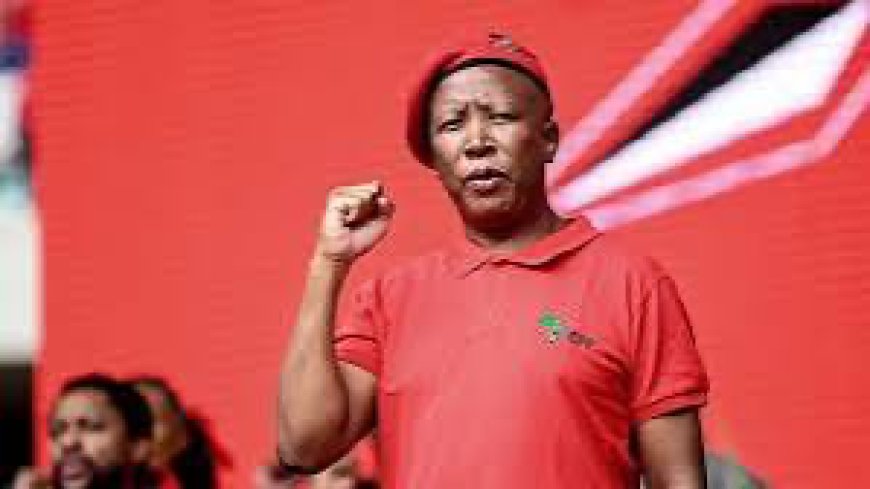 Julius Malema Pushes For Single African Presidency, Currency, Borderless Continent