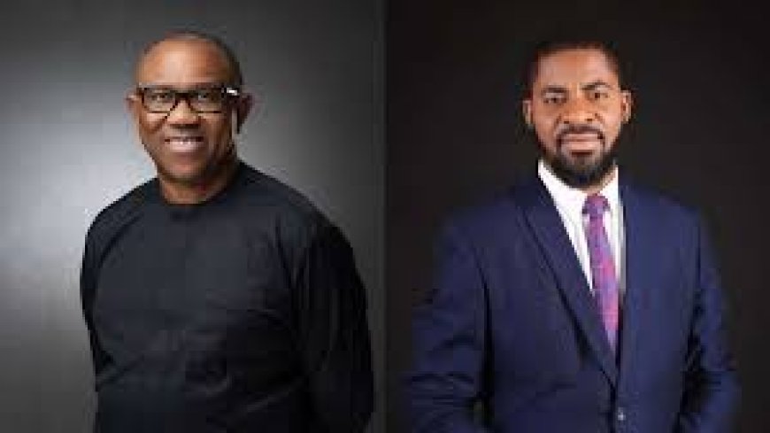 Why Deji Adeyanju's Fallacy On Peter Obi Cannot Stand