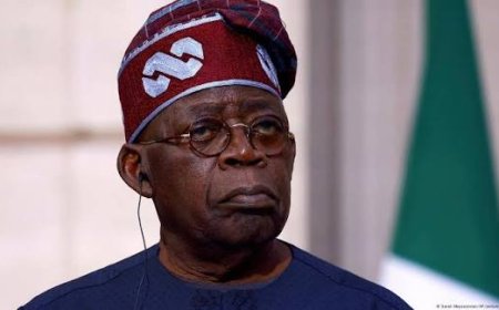 65th Independence Anniversary: Let’s Interrogate Tinubu’s “No More Corruption” Claim; At NCS, TCN and The CBN ------- By Prof Bolaji Akinyemi