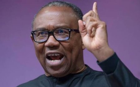 Trending story of Trump meeting with me is Fake and Devious - Obi