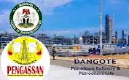 Nigerian govt provides solution to Dangote Refinery, PENGASSAN rift 
