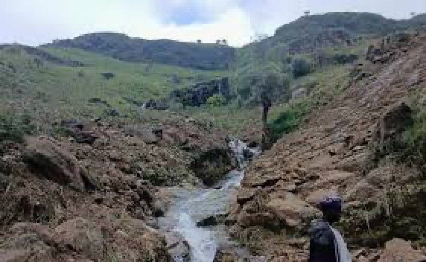 Sudan appeals for aid after landslide kills more than 1,000 in Darfur