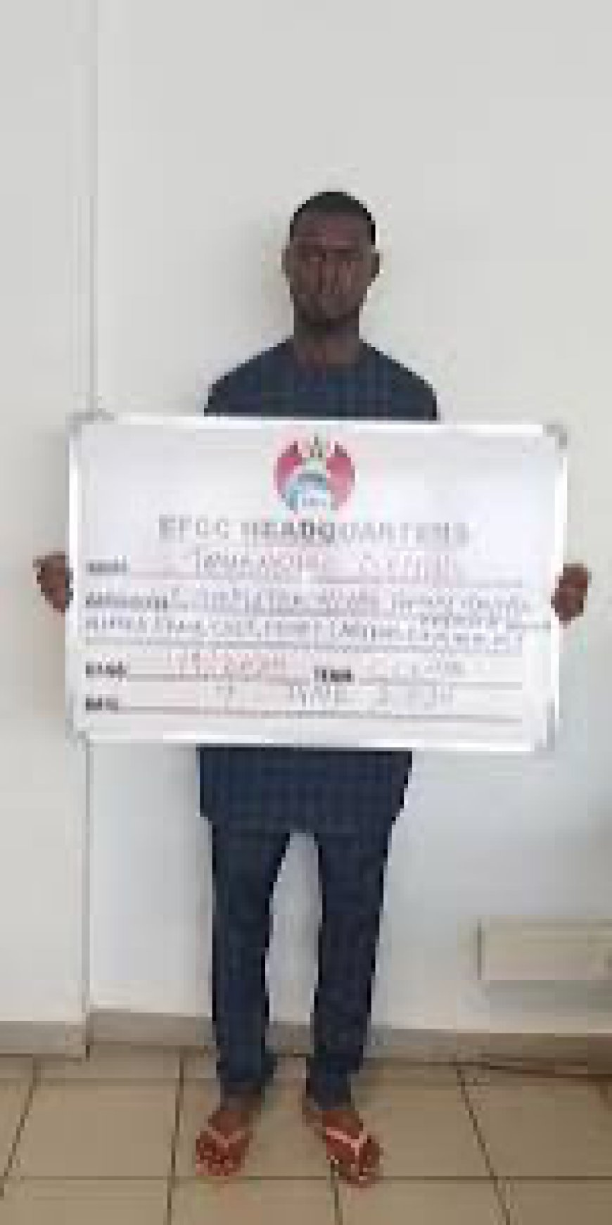 Court Jails Fake Investor for $71,000 Fraud