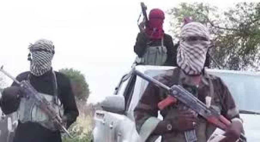 Massacre: Boko Haram Kill Over 63 Residents, Soldiers In Borno Community