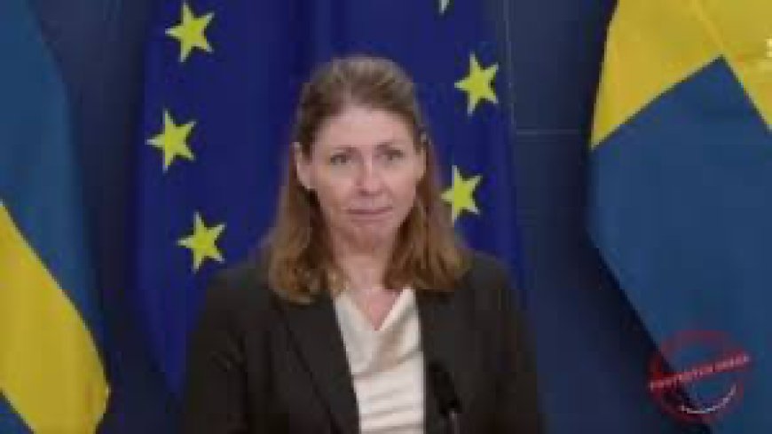 How Minister collapsed on live TV during her first day in office in Sweden
