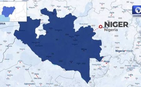Bandits Kill Three, Steal 1,000 Cows In Fresh Niger Attacks